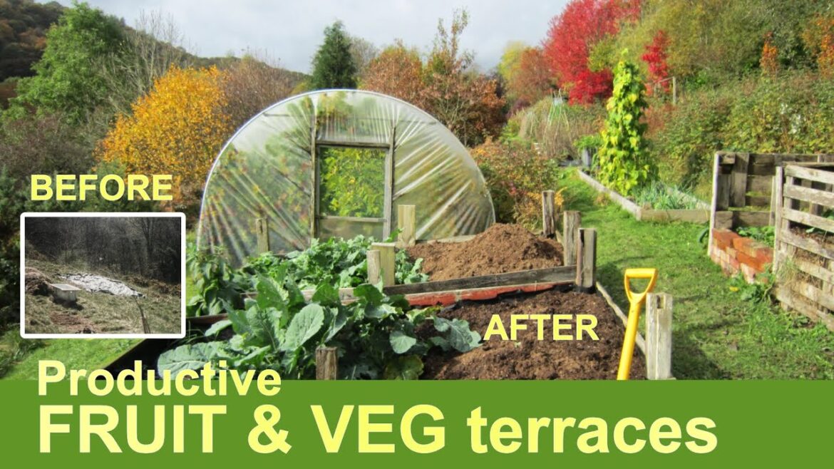 BARREN FIELD to PRODUCTIVE PLOT | Organic fruit & vegetable growing in Mid Wales