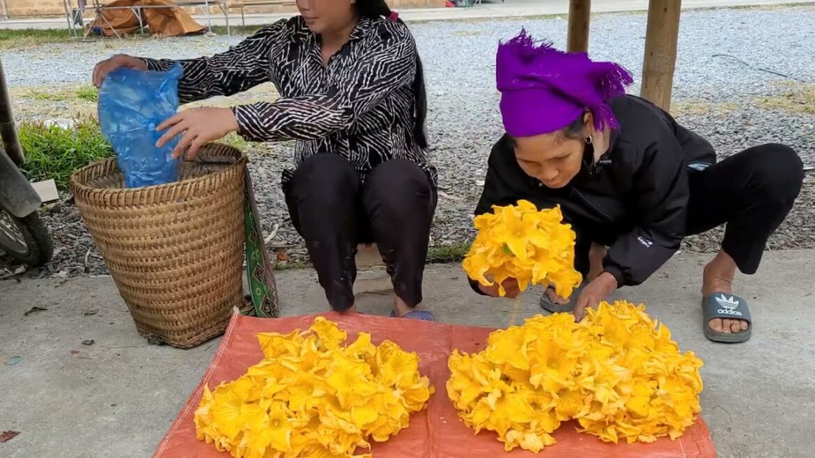 Harvest pumpkin flowers to sell. netting for vegetable gardening