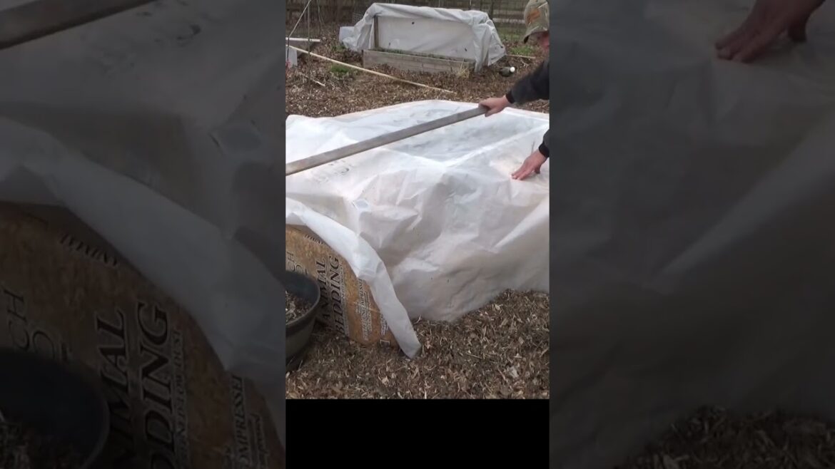 Garden tips, cold frames