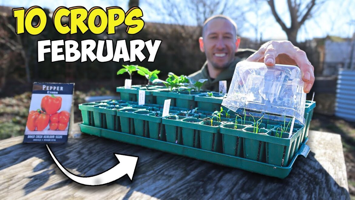 James Prigioni: 10 Crops you’d be Foolish Not to Plant in February 10 Crops you'd be Foolish Not to Plant in February