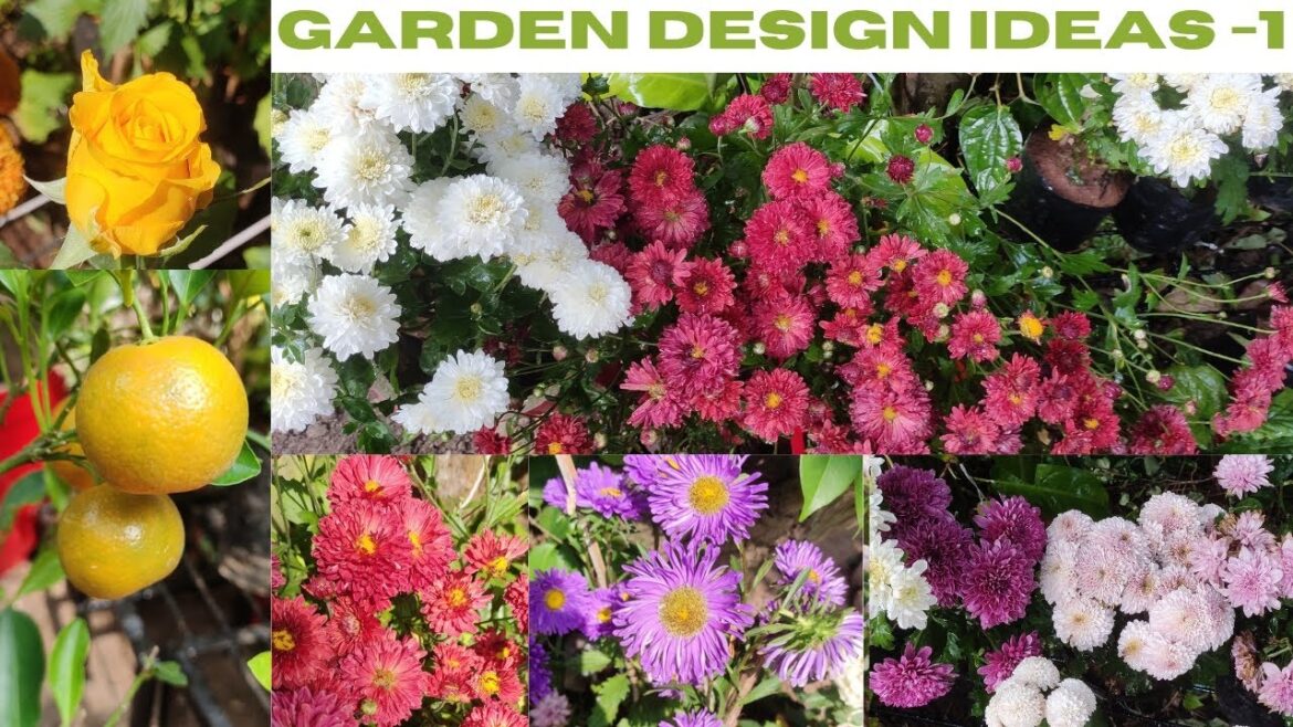 Garden Design Ideas