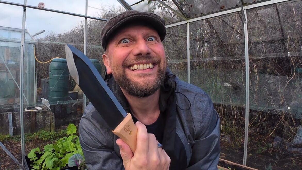 ALLOTMENT | ALLOTMENT GARDEN | ALLOTMENT BEGINNERS | TIPS | TOOLS | IDEAS ALLOTMENT | ALLOTMENT GARDEN | ALLOTMENT BEGINNERS | TIPS | TOOLS | IDEAS