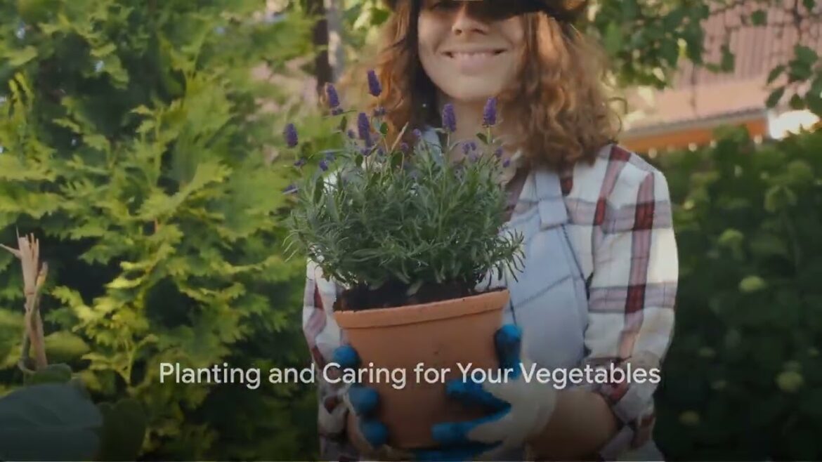 Vegetable Gardening  Australia Vegetable Gardening  Australia