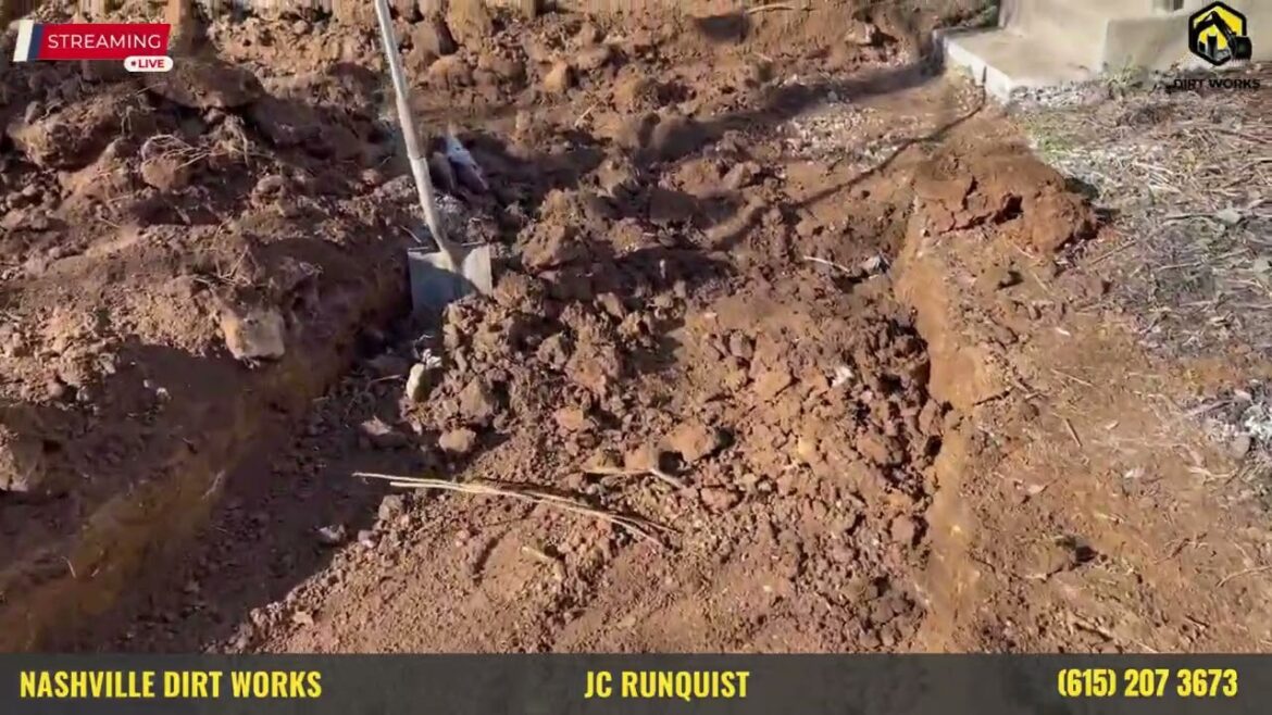 Front lawn, grading, landscape, walkway, irrigation, sod and lighting transformation.