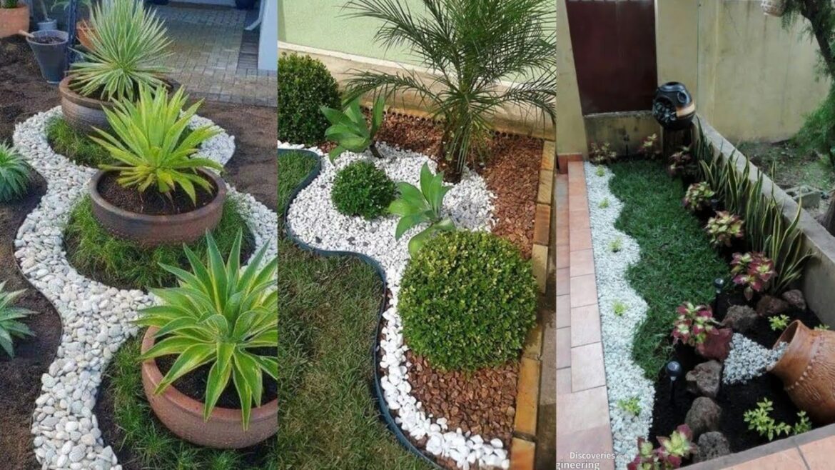 100 Best Small Landscap Design Idea 2024|Creative Garden landscaping Design Idea For Home Backyard