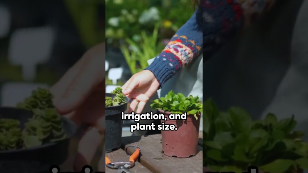 Green Thumb Guide: Home Gardening Shorts