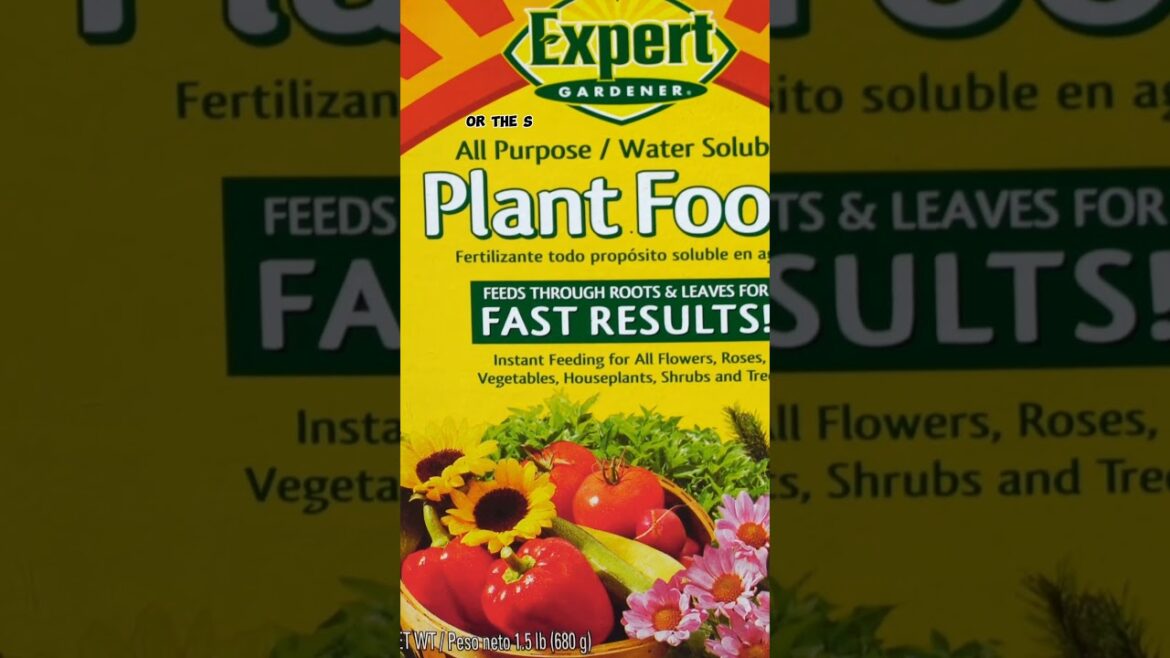 Best Fertilizers for Tomato Plants! 🍅💪 #Shorts