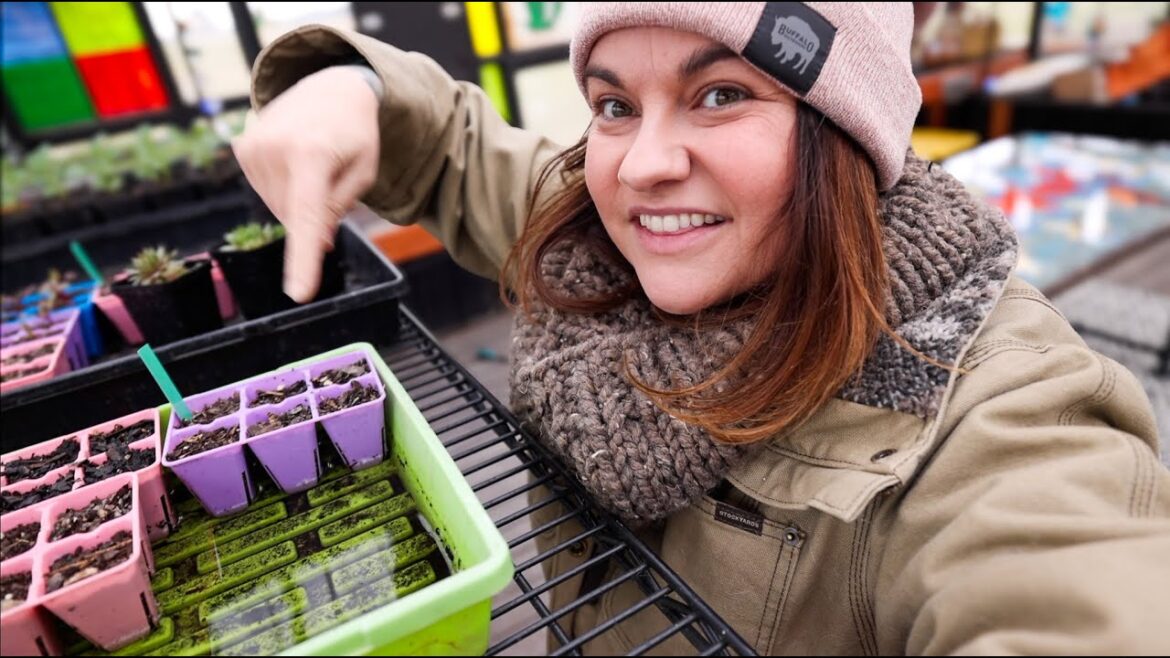 Roots and Refuge Farm: That time I killed everything (need help garden planning?) | VLOG That time I killed everything (need help garden planning?) | VLOG