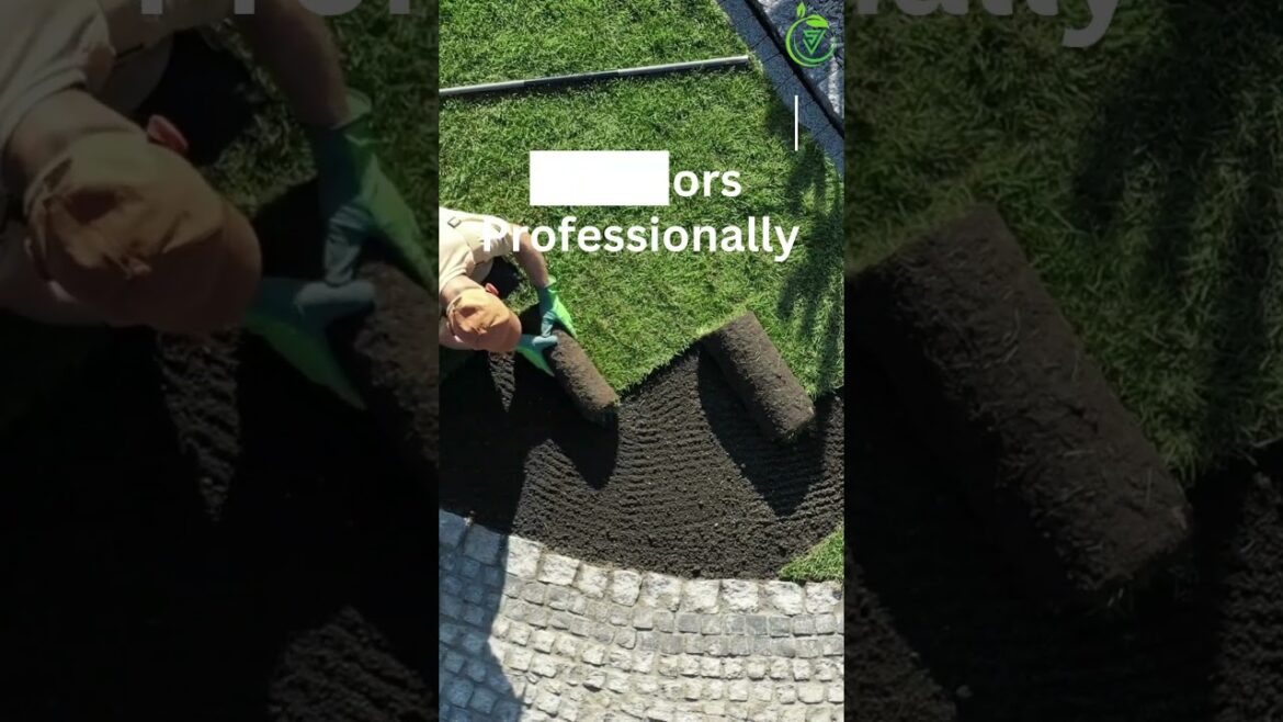 S V Landscape: Making Gardens Awesome | They Turn Yards Into Magic! π³β¨ S V Landscape: Making Gardens Awesome | They Turn Yards Into Magic! π³β¨