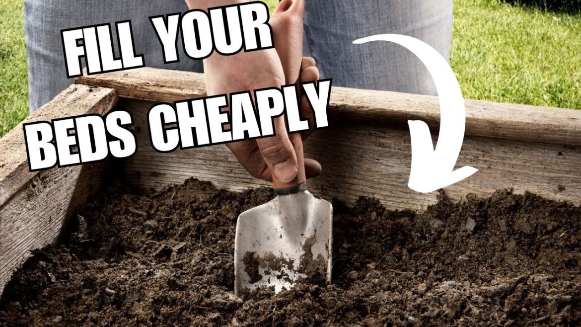 Fill Raised Beds and Containers Cheaply.  Herb, Allotment and Vegetable Gardening For Beginners UK