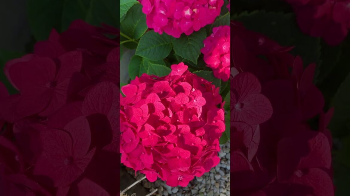 I wish I had stumbled upon this knowledge earlier when we first started growing our own food