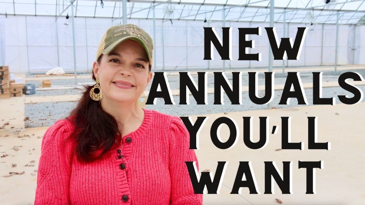 New Annuals You'll Want in 2024