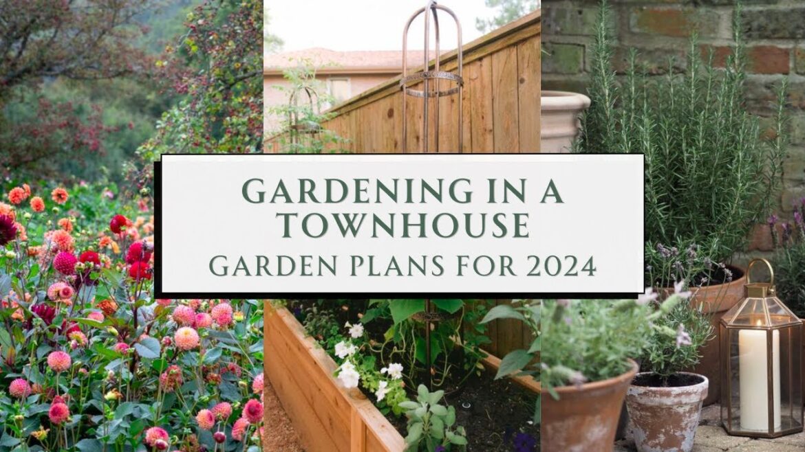 Gardening in a Townhouse – 3 Unique Garden Spaces π‘πΏ | Garden Plans 2024 – SEASON & SERVE BLOG Gardening in a Townhouse - 3 Unique Garden Spaces π‘πΏ | Garden Plans 2024 - SEASON & SERVE BLOG