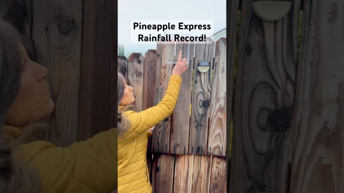 Pineapple Express Rainfall Record L.A.
