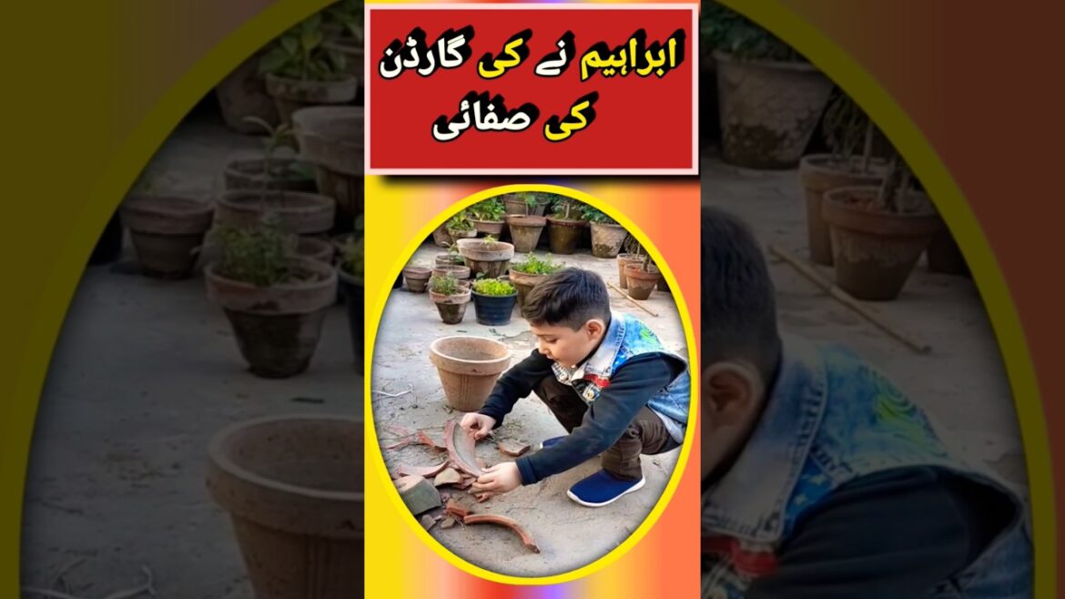 #cleaning garden #little gardener #cute baby #lovely style #working #trending #shorts #rooftop #yt #cleaning garden #little gardener #cute baby #lovely style #working #trending #shorts #rooftop #yt