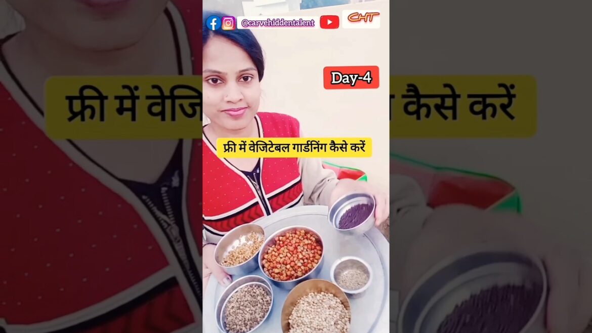 Day-4 Zero budget gardening tips and tricks #gardening #carvehiddentalent #gardentips Day-4 Zero budget gardening tips and tricks #gardening #carvehiddentalent #gardentips