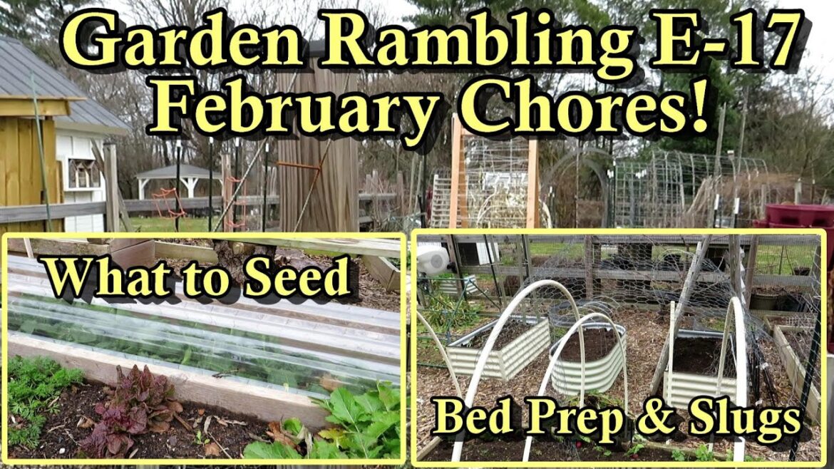 February Garden Chores, Soil Prep, & Seeding 2/10/2024: Garden Ramblings Tips & Tour E-17
