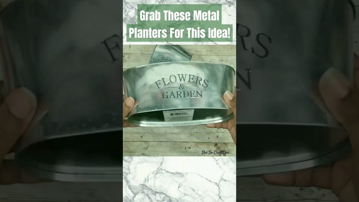 π₯ RUN to Dollar Tree & GRAB These Metal Planters for This DIY! #dollartreediy #shesocraftdee #shorts π₯ RUN to Dollar Tree & GRAB These Metal Planters for This DIY! #dollartreediy #shesocraftdee #shorts