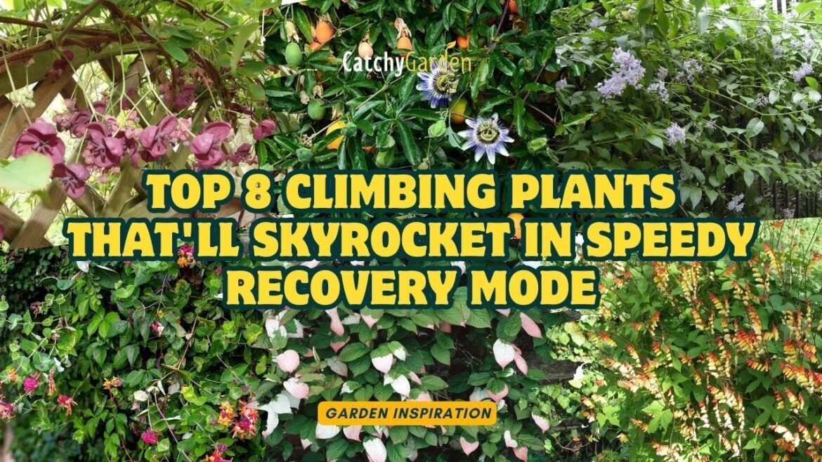 Top 8 Climbing Plants That’ll Skyrocket in Speedy Recovery Mode πππΈ // Gardening Ideas Top 8 Climbing Plants That'll Skyrocket in Speedy Recovery Mode πππΈ // Gardening Ideas