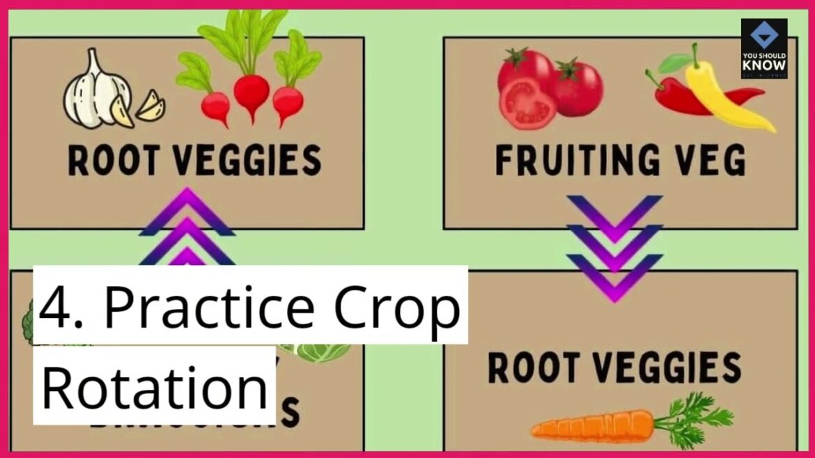 Top 10 Tips for Successful Home Vegetable Gardening