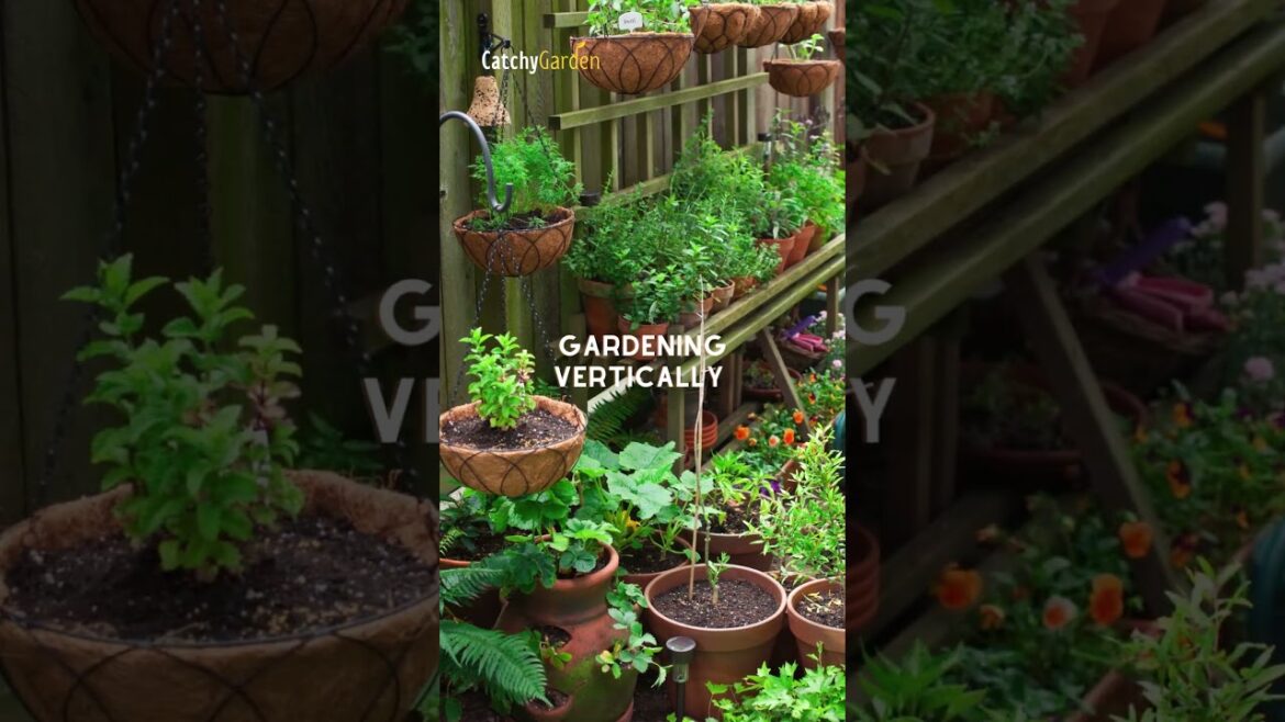 6 Smart Small Yard Landscaping Ideas // Simple Gardening Tips #shorts 6 Smart Small Yard Landscaping Ideas // Simple Gardening Tips #shorts