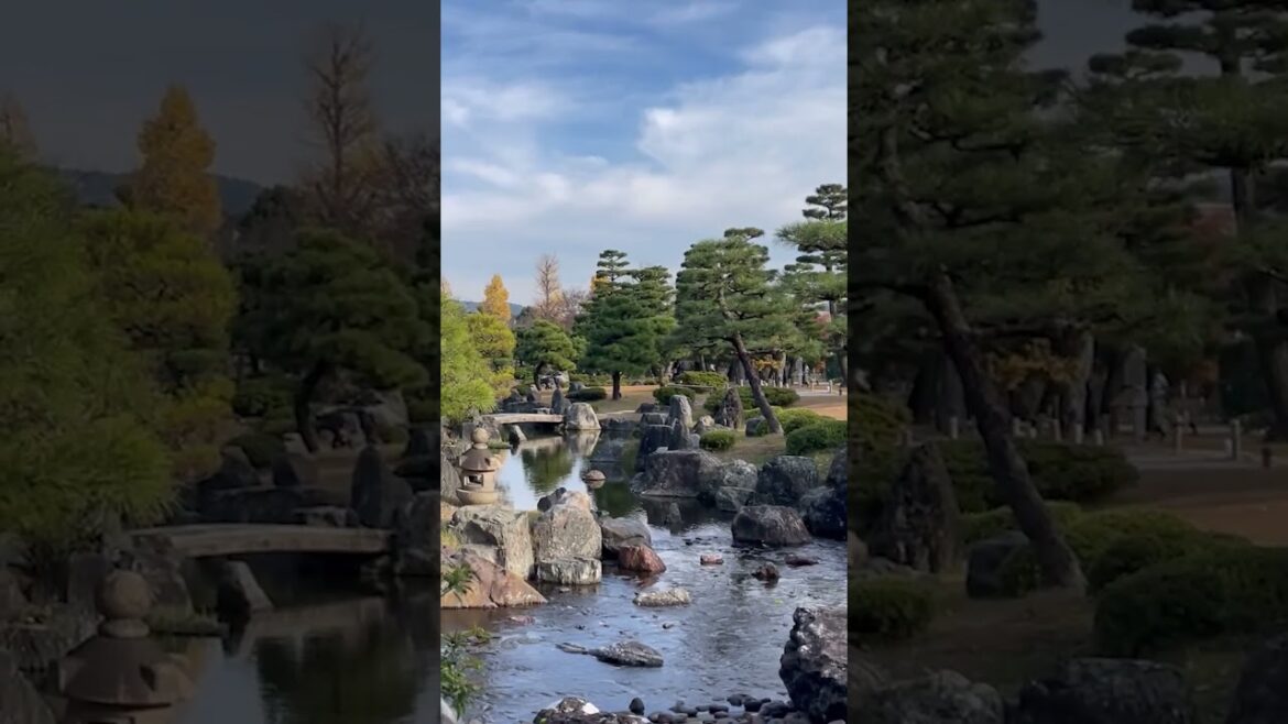 10 second relaxation in the Japanese garden