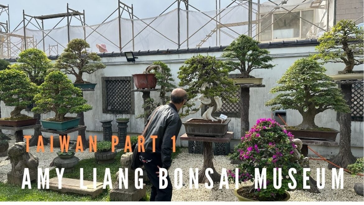 Taiwan - Amy Liang Bonsai Museum - Part One