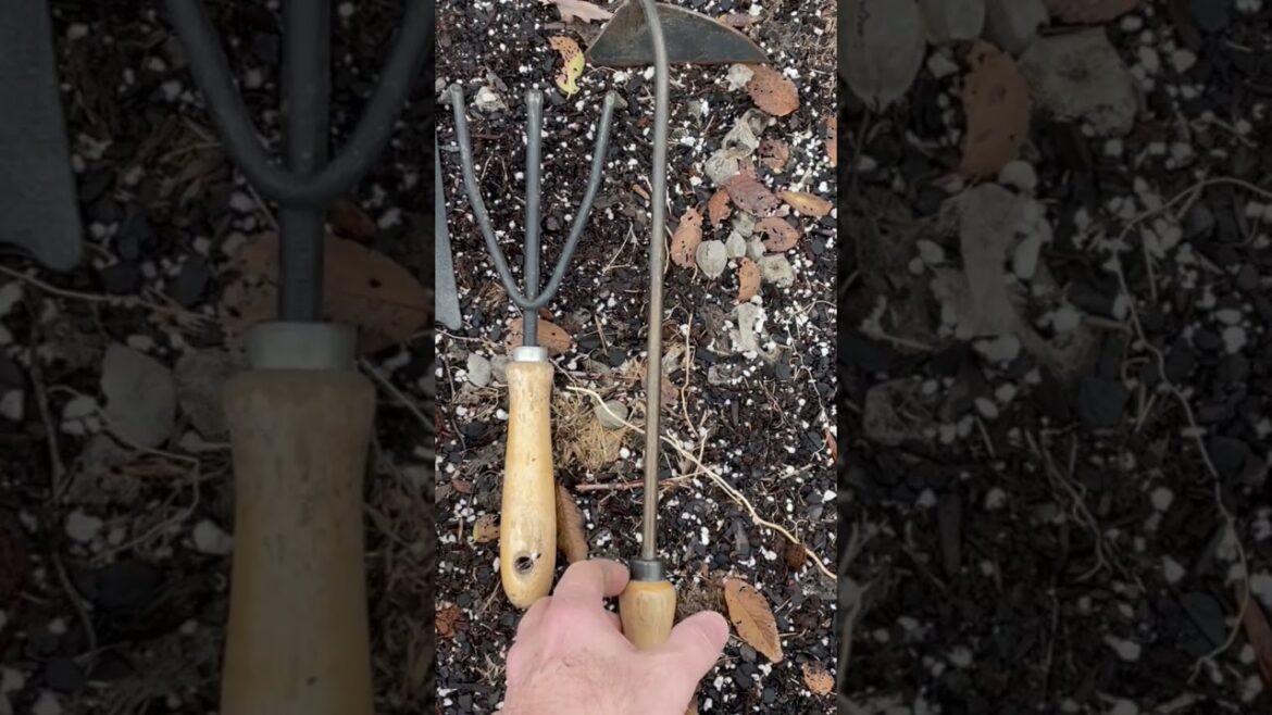 Top Choice From Selection Of Garden Tools #homegrown #backyardgardening