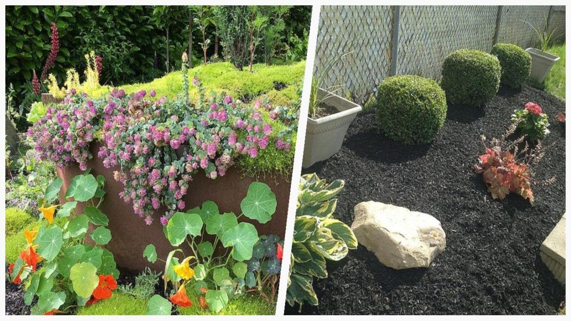 75 Modern Green Landscaping Design Ideas You'll Love ⭐