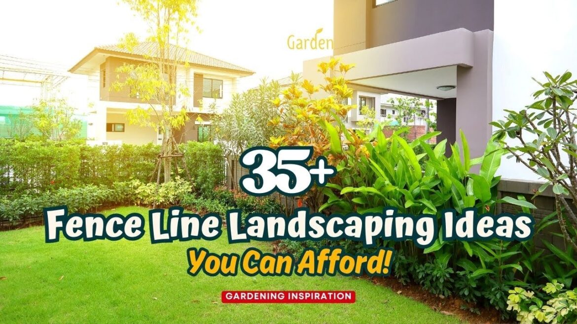 35+ Simple Fence Line Landscaping Ideas You Can Afford! 🌲🌷🏡 // Gardening Ideas