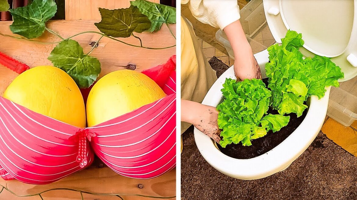 🌿✂️ Gardener’s Guide: Genius Hacks to Transform Your Garden! 🌻 🌿✂️ Gardener's Guide: Genius Hacks to Transform Your Garden! 🌻