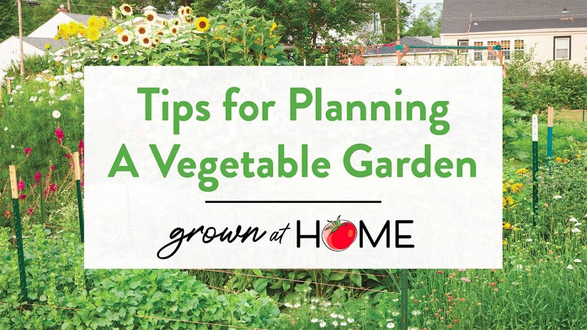 Tips for Planning a Vegetable Garden | Grown at Home with Dan Fillius #vegetablegardening