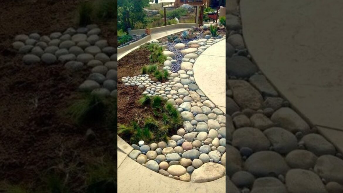 Different ideas for gardening #garden