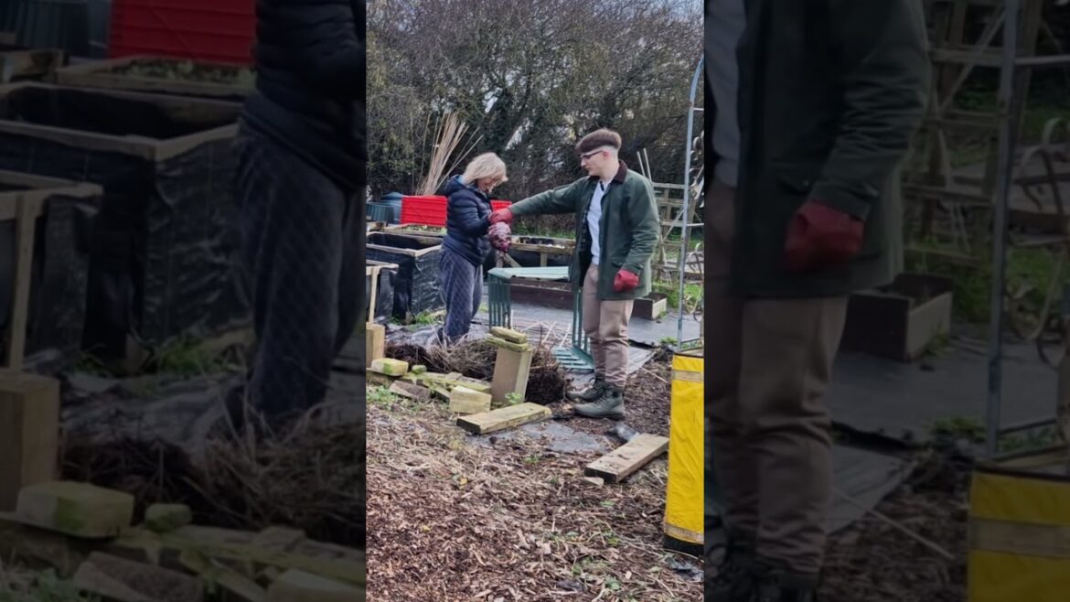 Mutant Plant – Alfie’s Agriculture #gardening #garden #compost #shorts Mutant Plant - Alfie's Agriculture #gardening #garden #compost #shorts