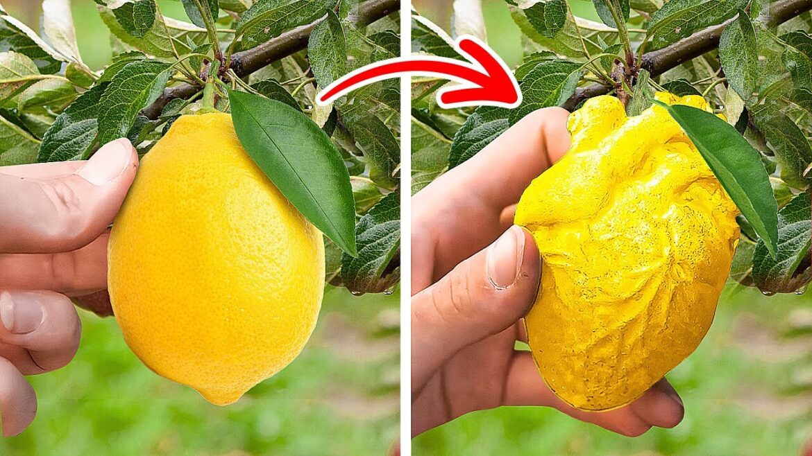 Easy Tips For Growing Plants And Awesome Gardening Hacks