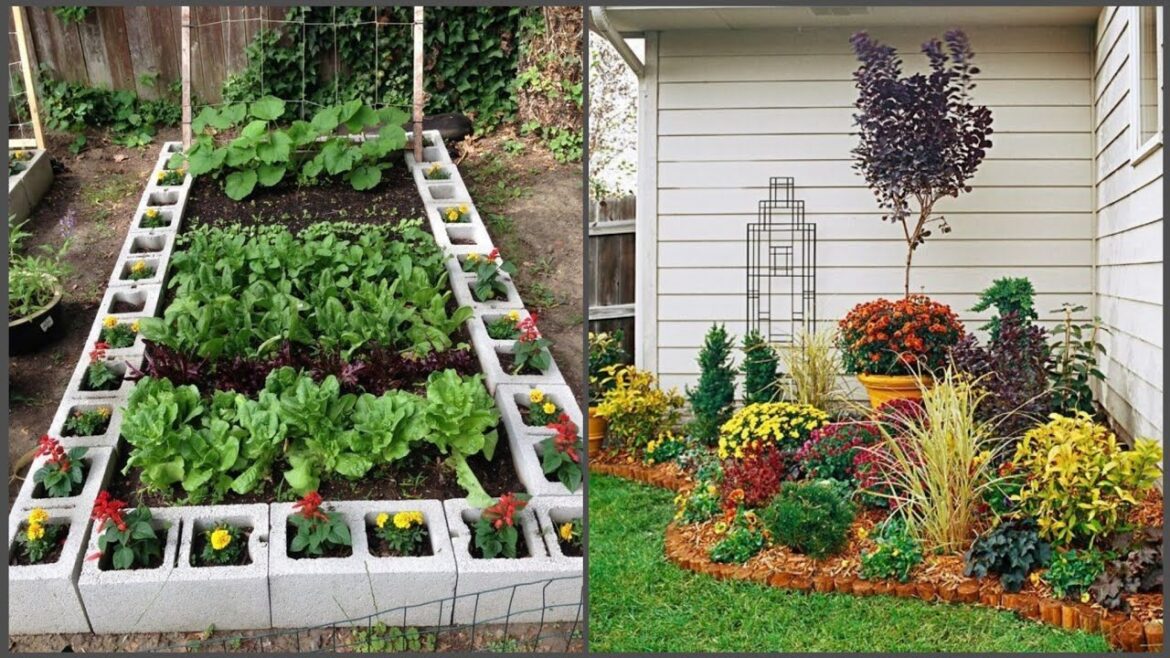 Vegetable gardening at home - Top trendy Home Garden ideas