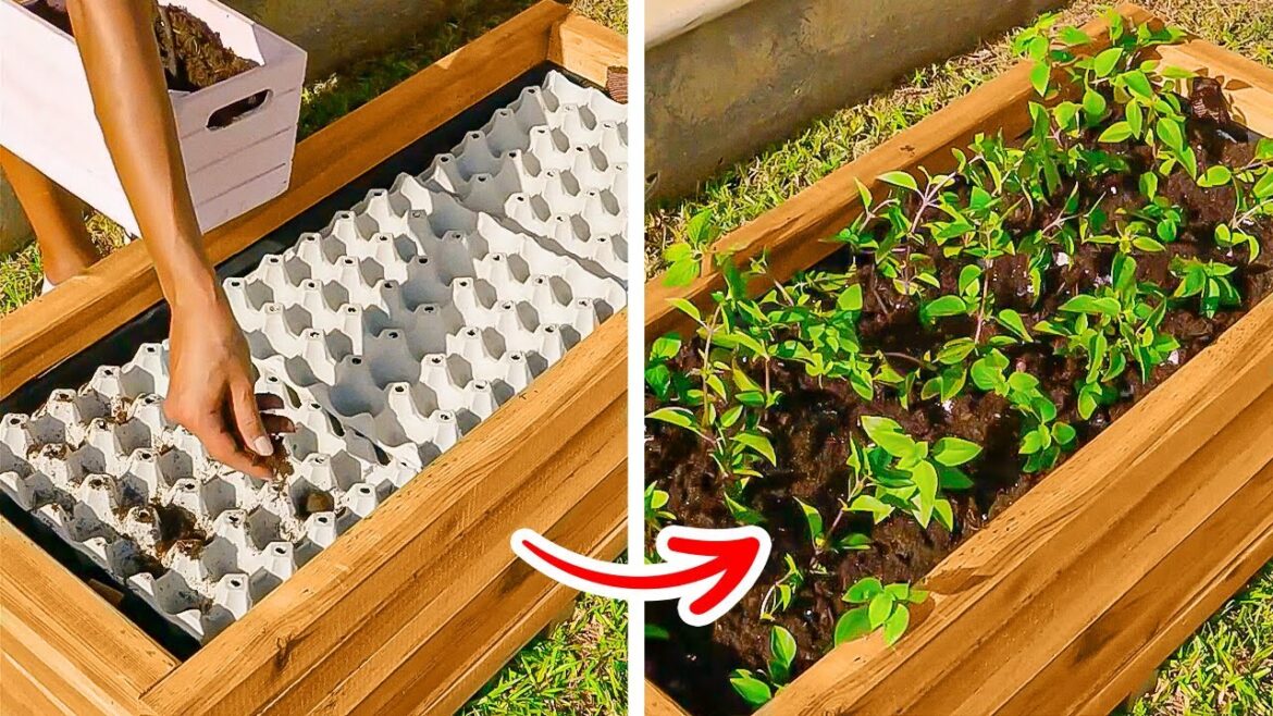 Grow Anything & Anywhere: Smart Gardening Hacks For Beginners
