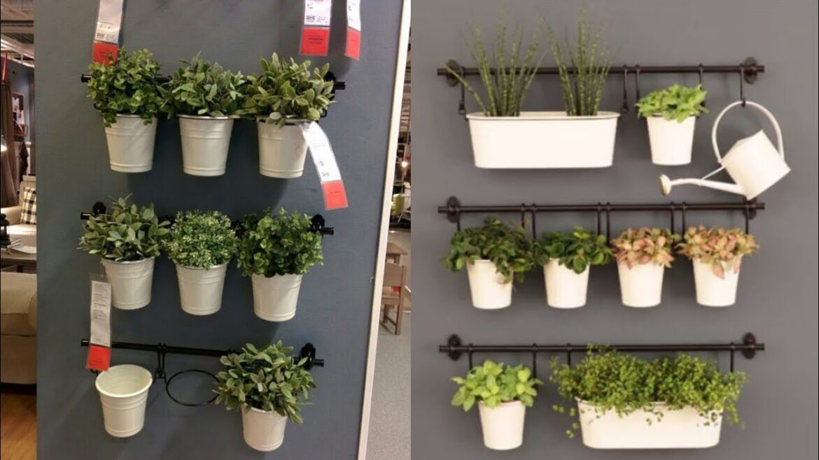 Budget Friendly Garden Landscaping Ideas 2024|Garden Wall Ideas For Home Backyard / Front Yard