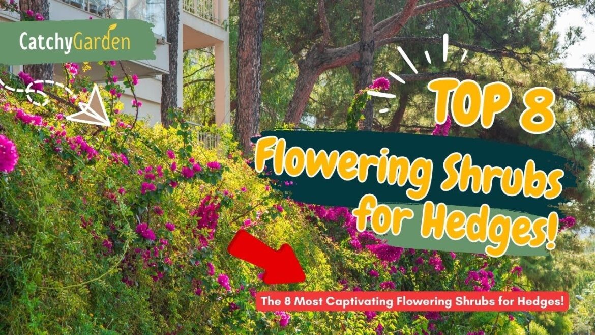 The 8 Most Captivating Flowering Shrubs for Hedges! πΈππΊ // Gardening Ideas The 8 Most Captivating Flowering Shrubs for Hedges! πΈππΊ // Gardening Ideas