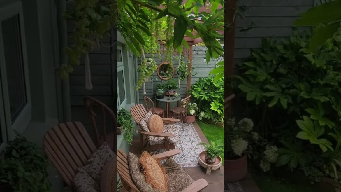 Blossoming Haven: A Backyard Garden Oasis | Short Video #shorts #outdoors #garden #greenlivingtips Blossoming Haven: A Backyard Garden Oasis | Short Video #shorts #outdoors #garden #greenlivingtips
