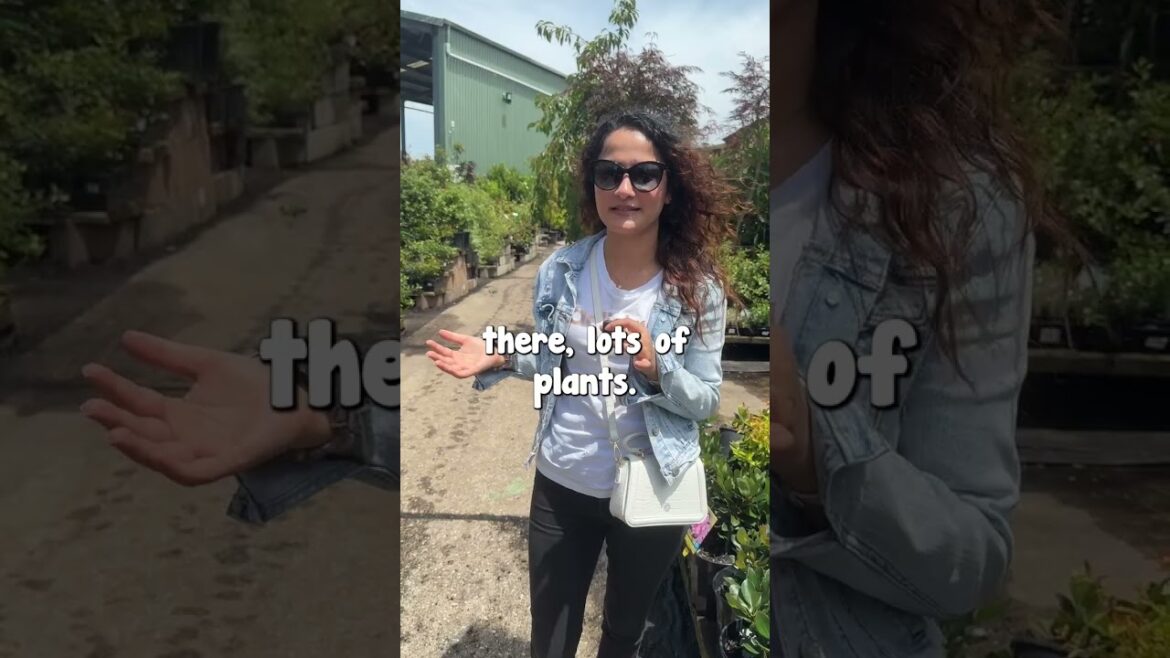 What Are You Shopping For??👀✨ Part 1 What Are You Shopping For??👀✨ Part 1