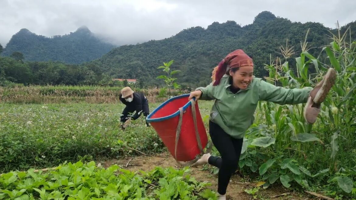 single mother, vegetable gardening, daily life