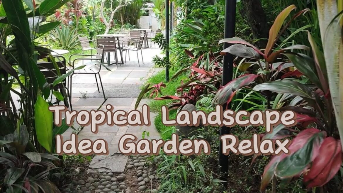 Tropical Garden Idea Cafe Landscape βπ³π²π±πΏπΌπΎβ Tropical Garden Idea Cafe Landscape βπ³π²π±πΏπΌπΎβ