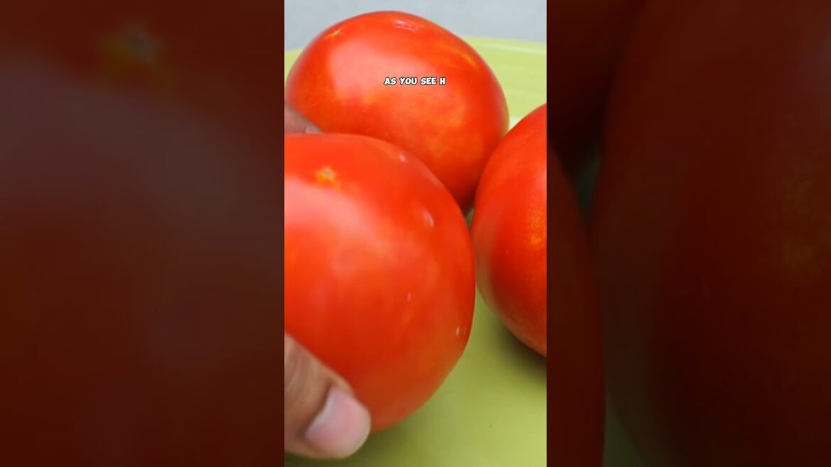 California Gardening: Big Hybrid Tomatoes: Grow Guide! π
πͺ #Shorts Big Hybrid Tomatoes: Grow Guide! π
πͺ #Shorts