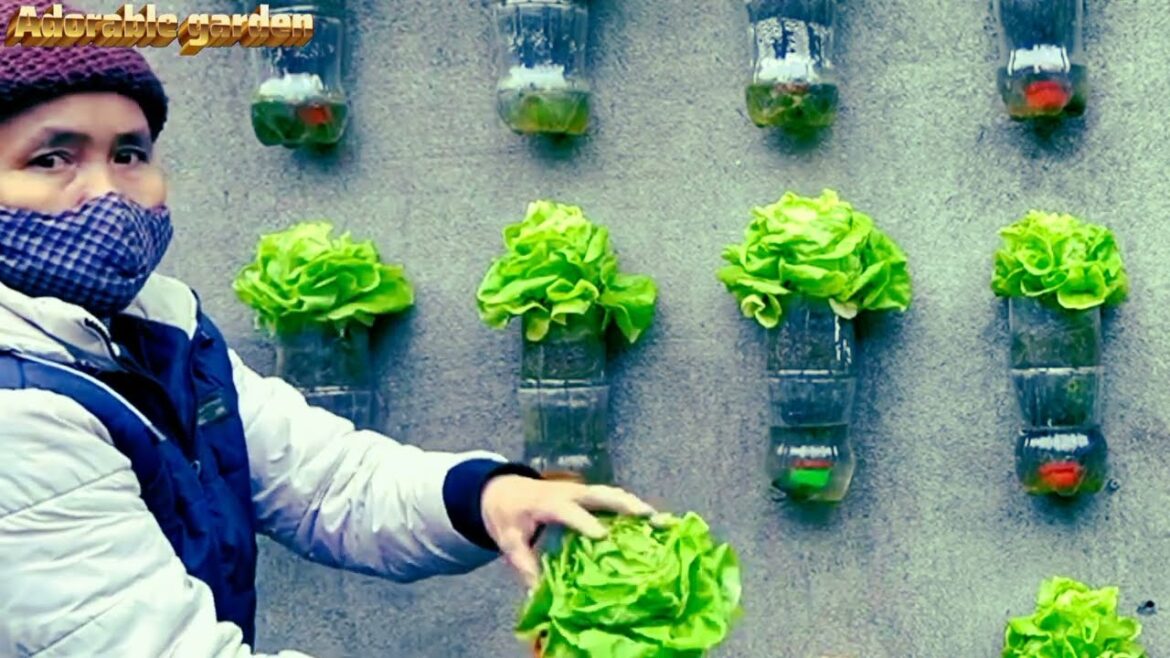 Transform Your Old Wall into a Lush, Edible Garden ./adorable garden ideas Transform Your Old Wall into a Lush, Edible Garden ./adorable garden ideas