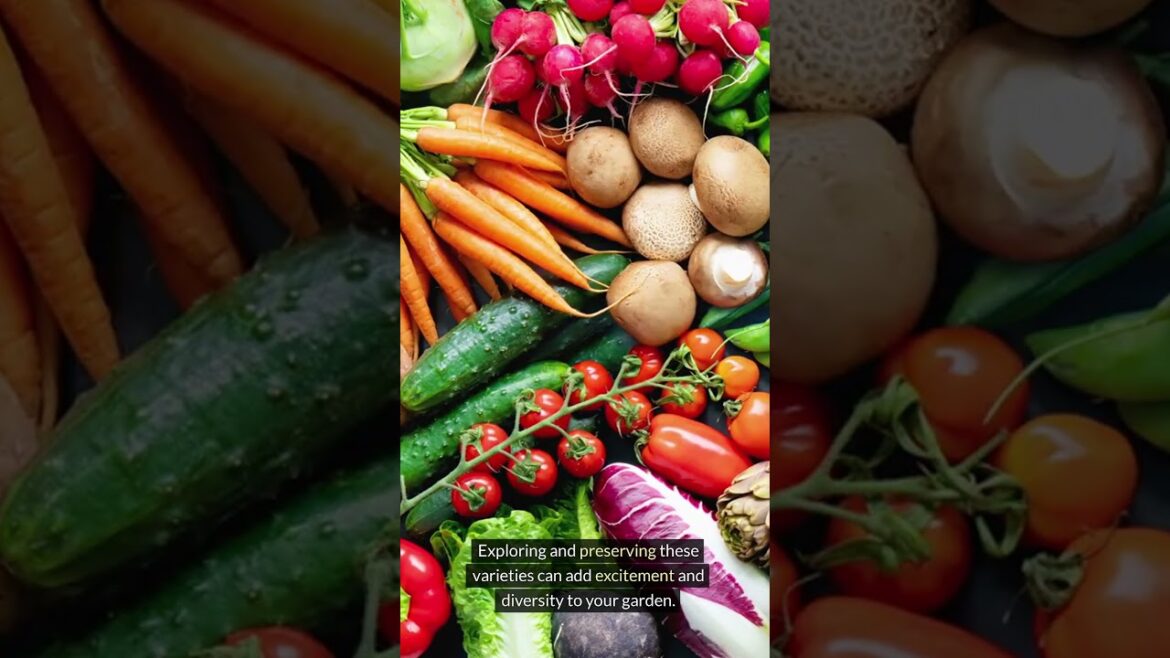 3 Interesting Facts About Vegetable Gardening
