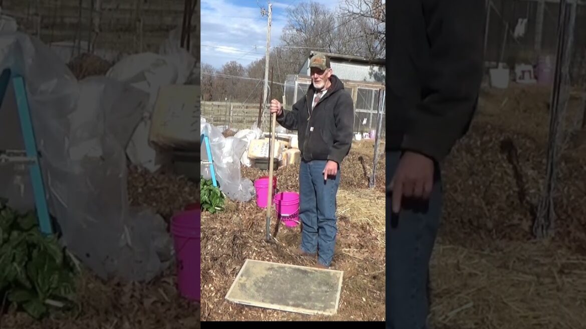 Garden tips, digging a basic cold frame Garden tips, digging a basic cold frame