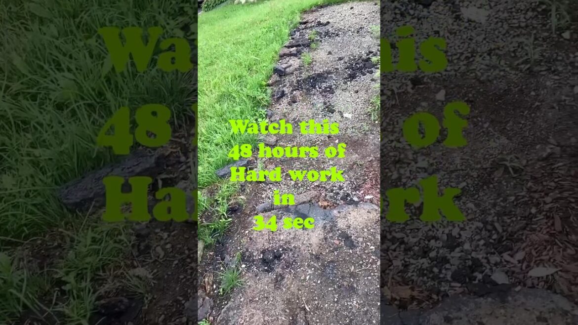 Worth it😃 #shorts #shortsfeed  #youtubeshorts