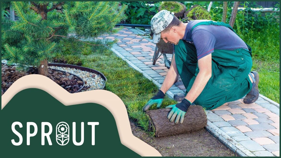 Easy And Low Effort Garden Tips That Make A Big Difference | Great British Garden Revival | Sprout Easy And Low Effort Garden Tips That Make A Big Difference | Great British Garden Revival | Sprout
