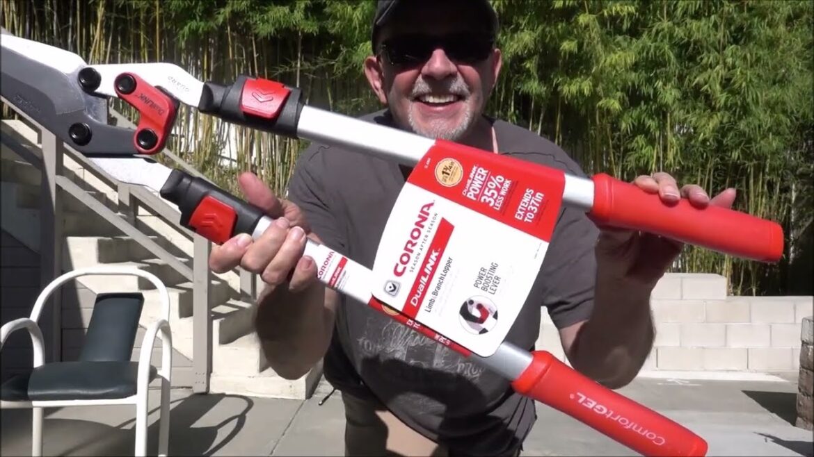 Branch Cutter DualLINK Extendable Bypass Loppers by Corona Tools